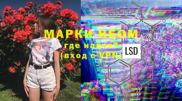 индика Козловка