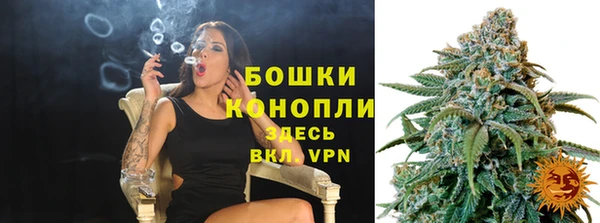 гашик Коряжма