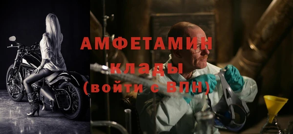 гашик Коряжма