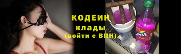 гашик Коряжма