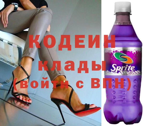 гашик Коряжма