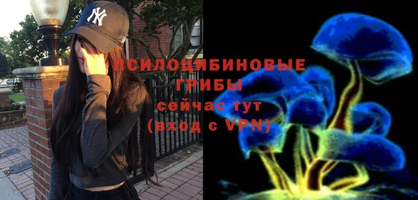 дурь Козельск