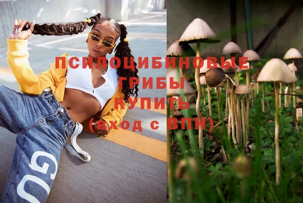 СК Кодинск