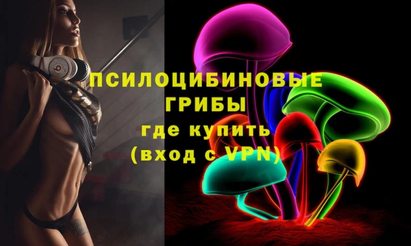 гашик Коряжма